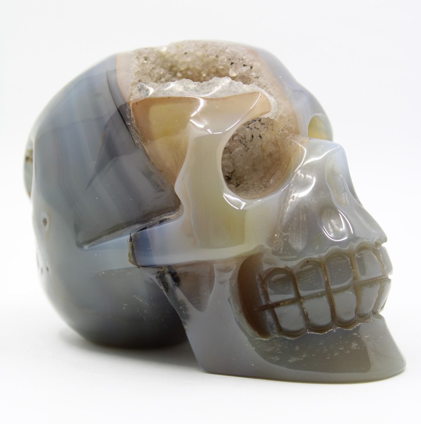Agaat skull op standvlak