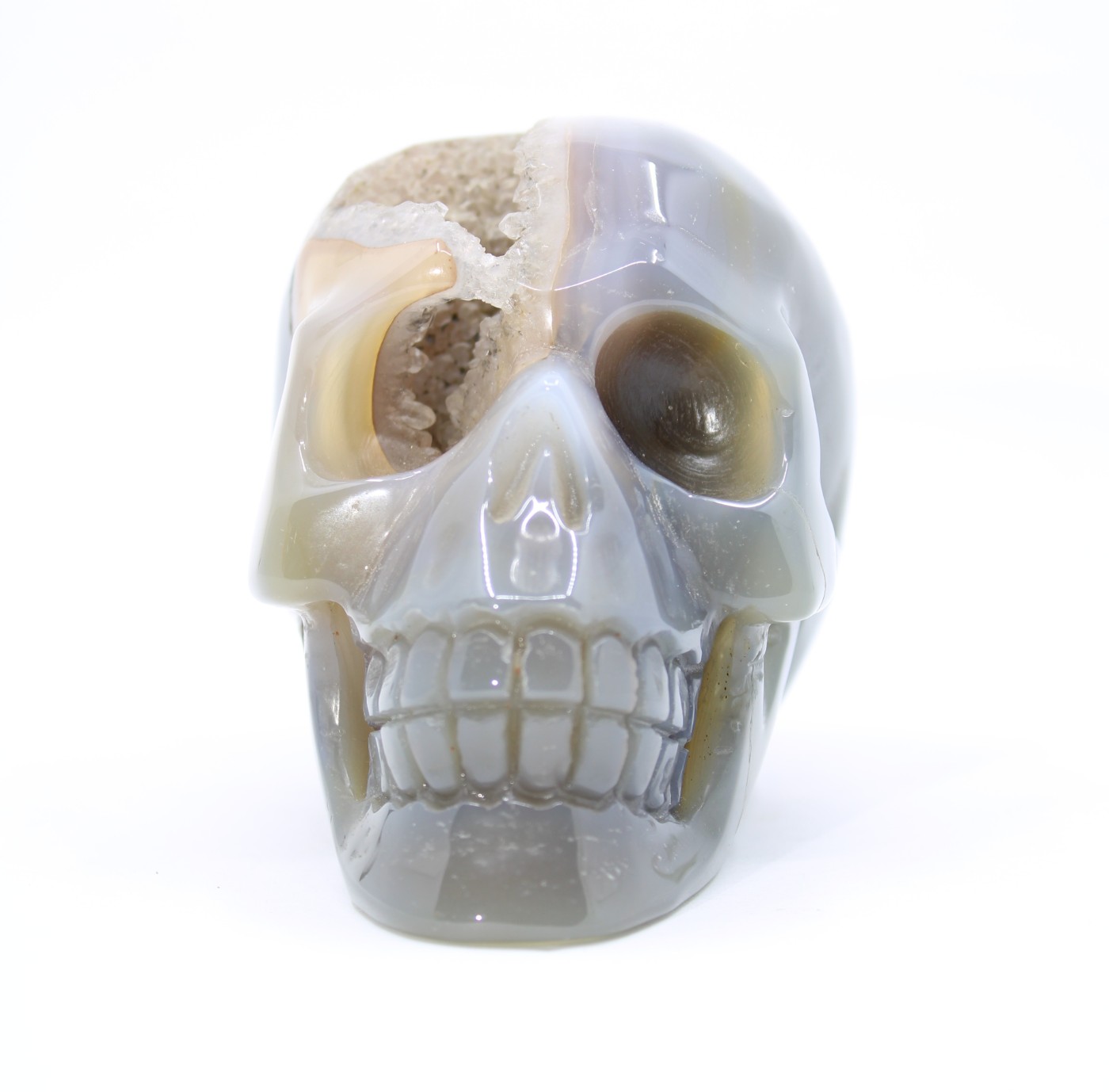 Agaat skull op standvlak