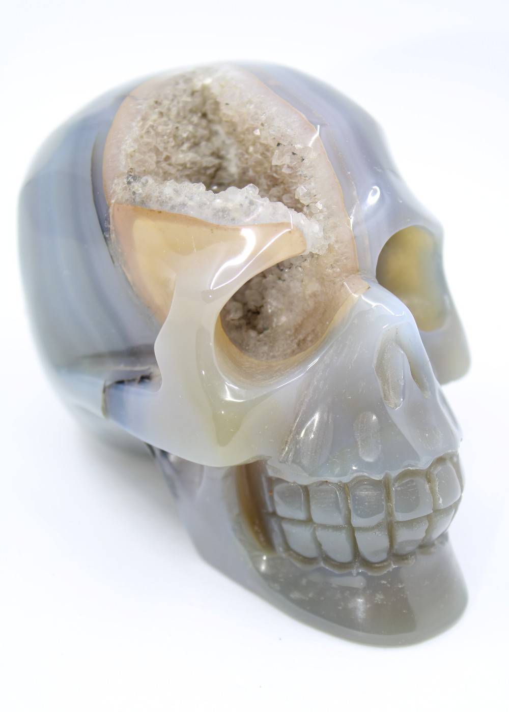 Agaat skull op standvlak