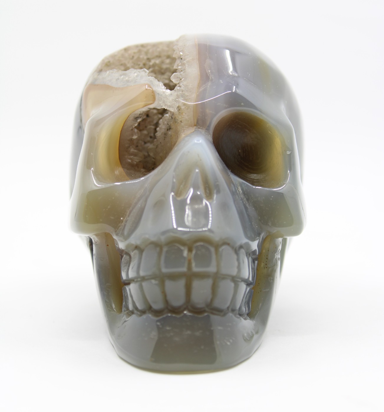 Agaat skull op standvlak