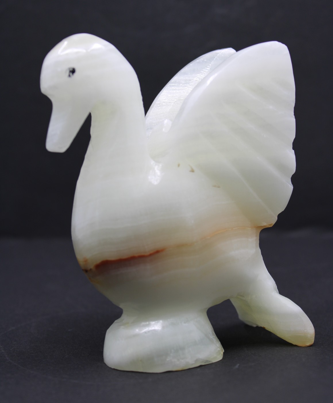 Onyx zwaantje
