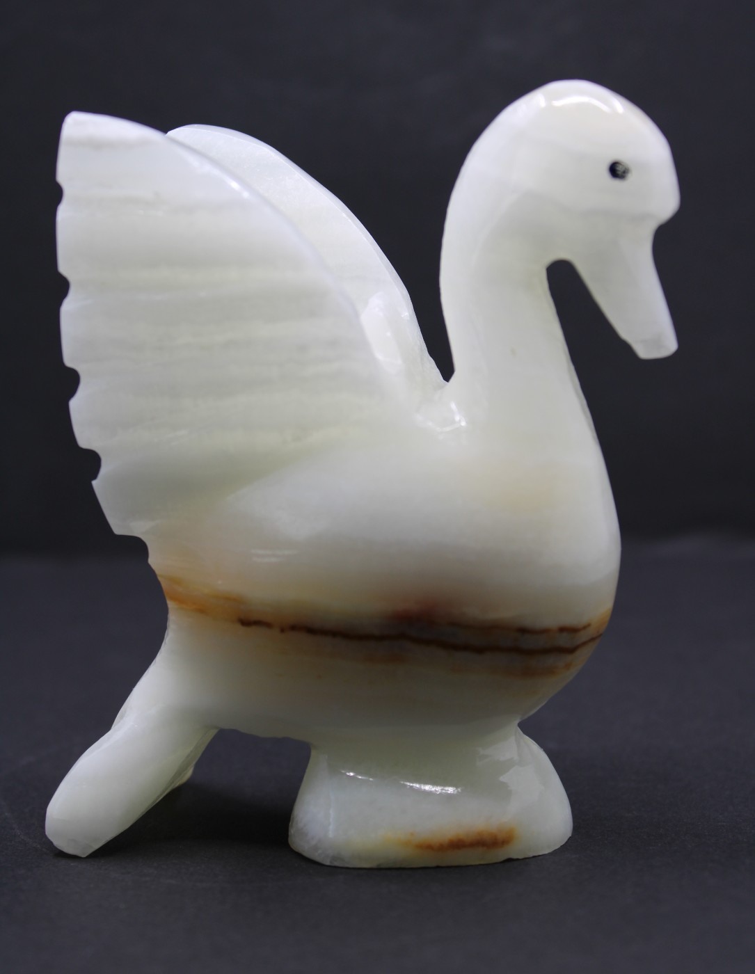 Onyx zwaantje