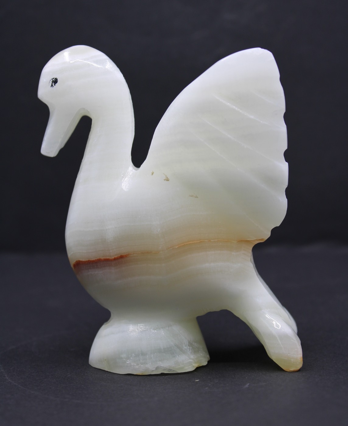Onyx zwaantje